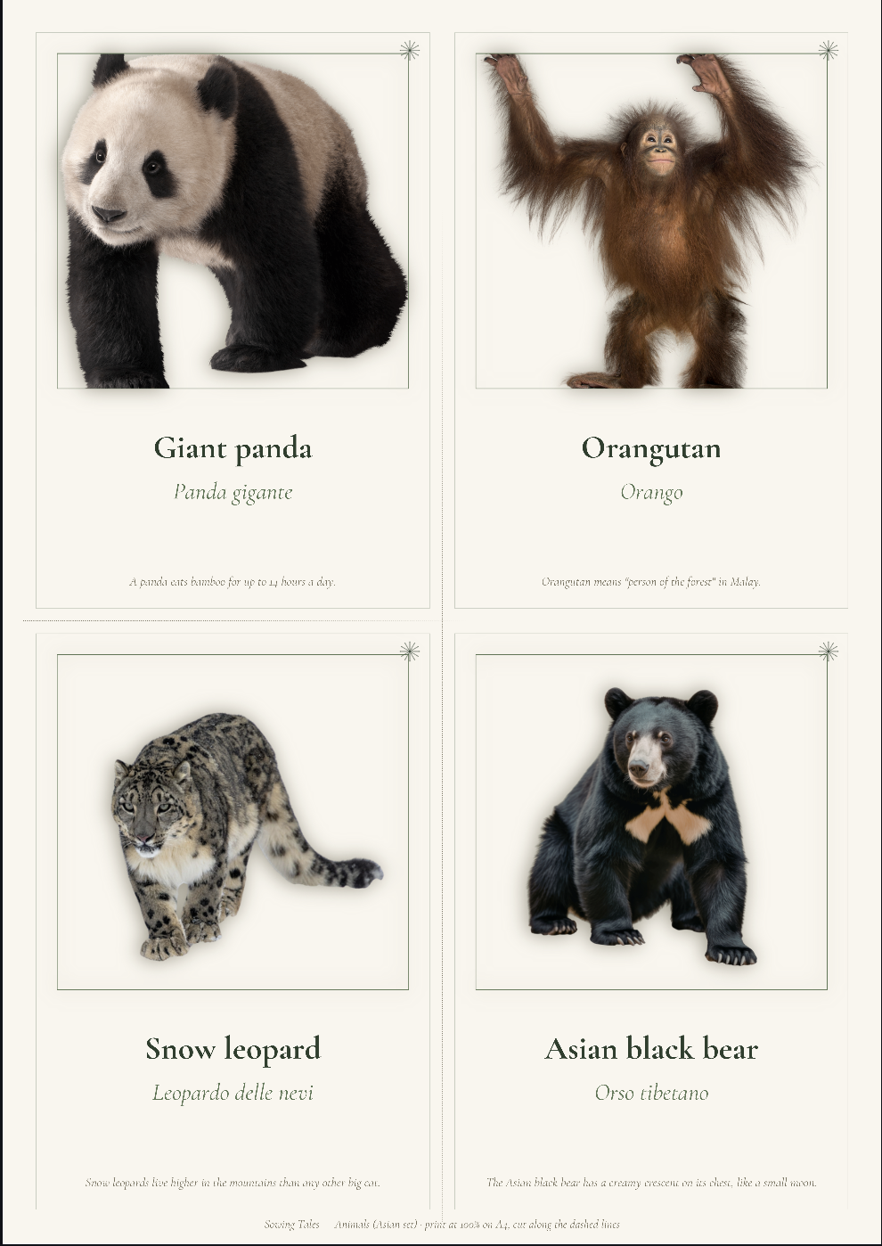 Bilingual Animal Cards